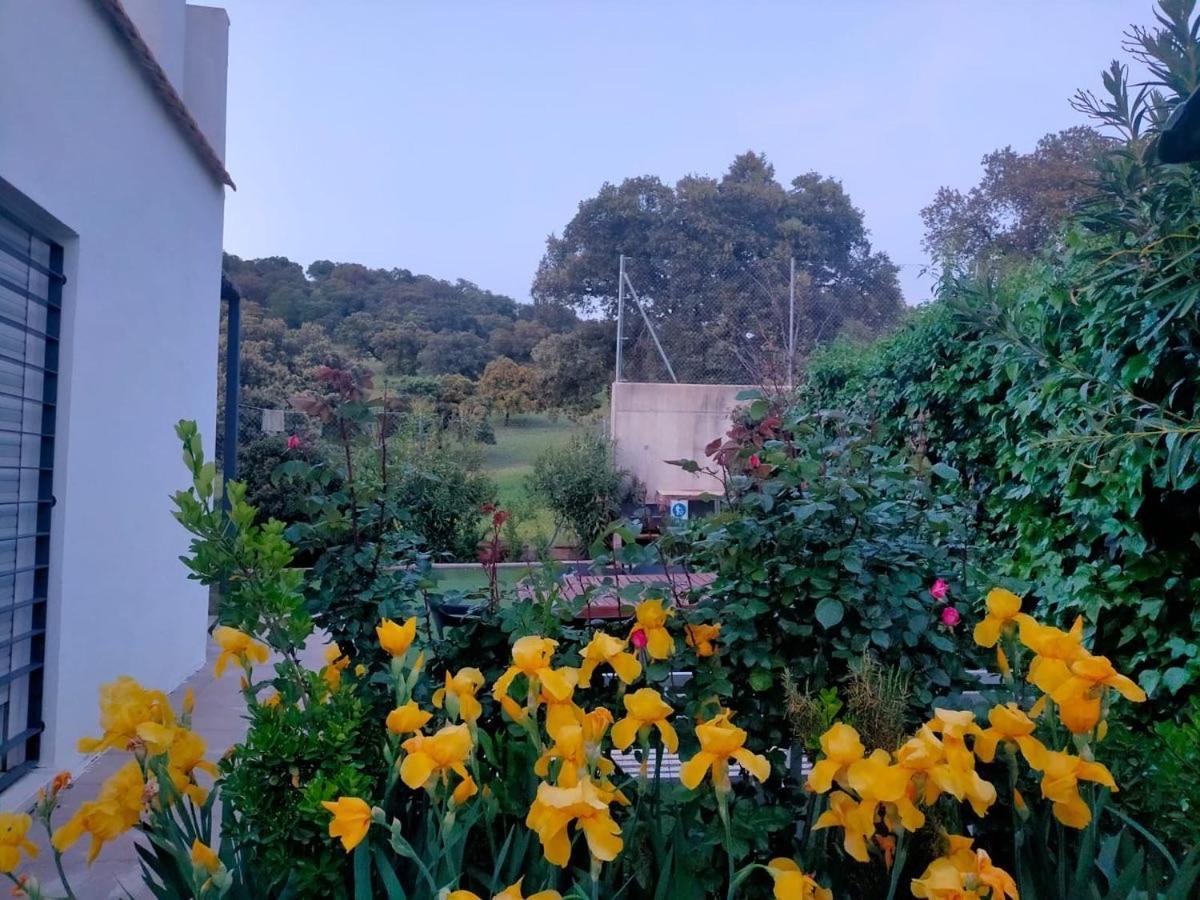 Casa Rural Nacimiento Del Hueznar - Tomillo 23 San Nicolás del Puerto Exterior foto